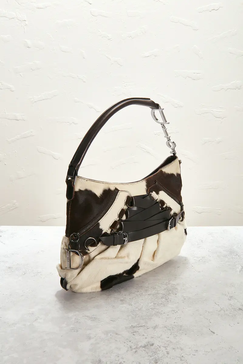 Dior Dior Ponyhair Ballet Corset Shoulder Bag | Thumbnail 4 Dior Dior Ponyhair Ballet Corset Shoulder Bag | Thumbnail 4
