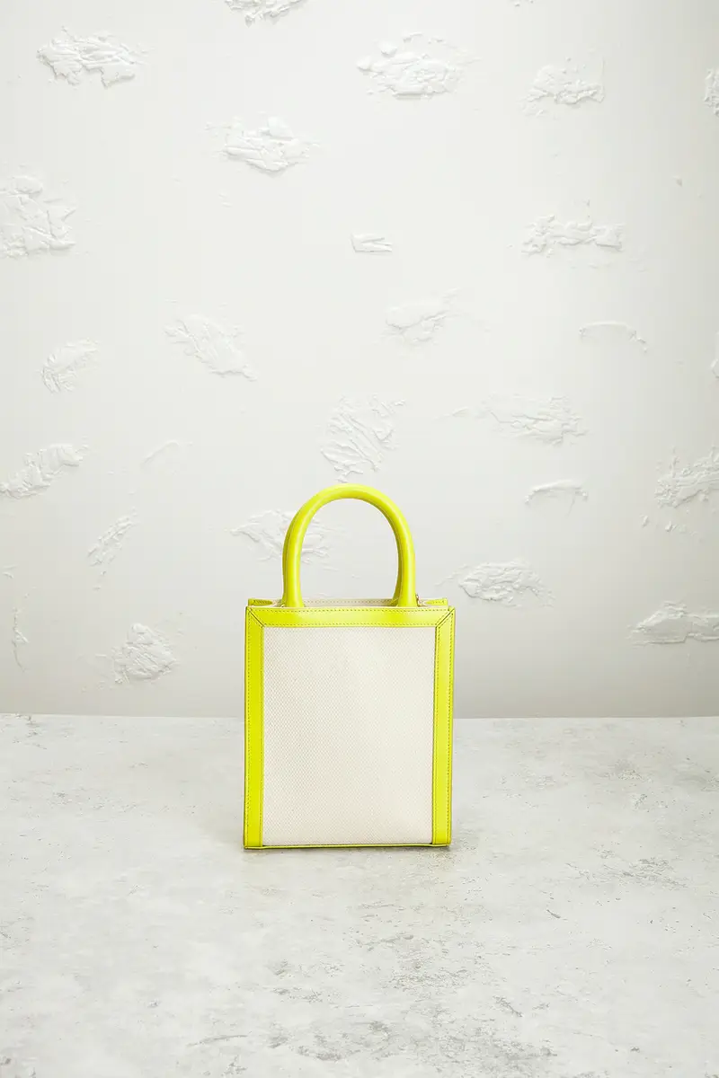 Celine Celine Mini Vertical Cabas Tote Bag | Thumbnail 3