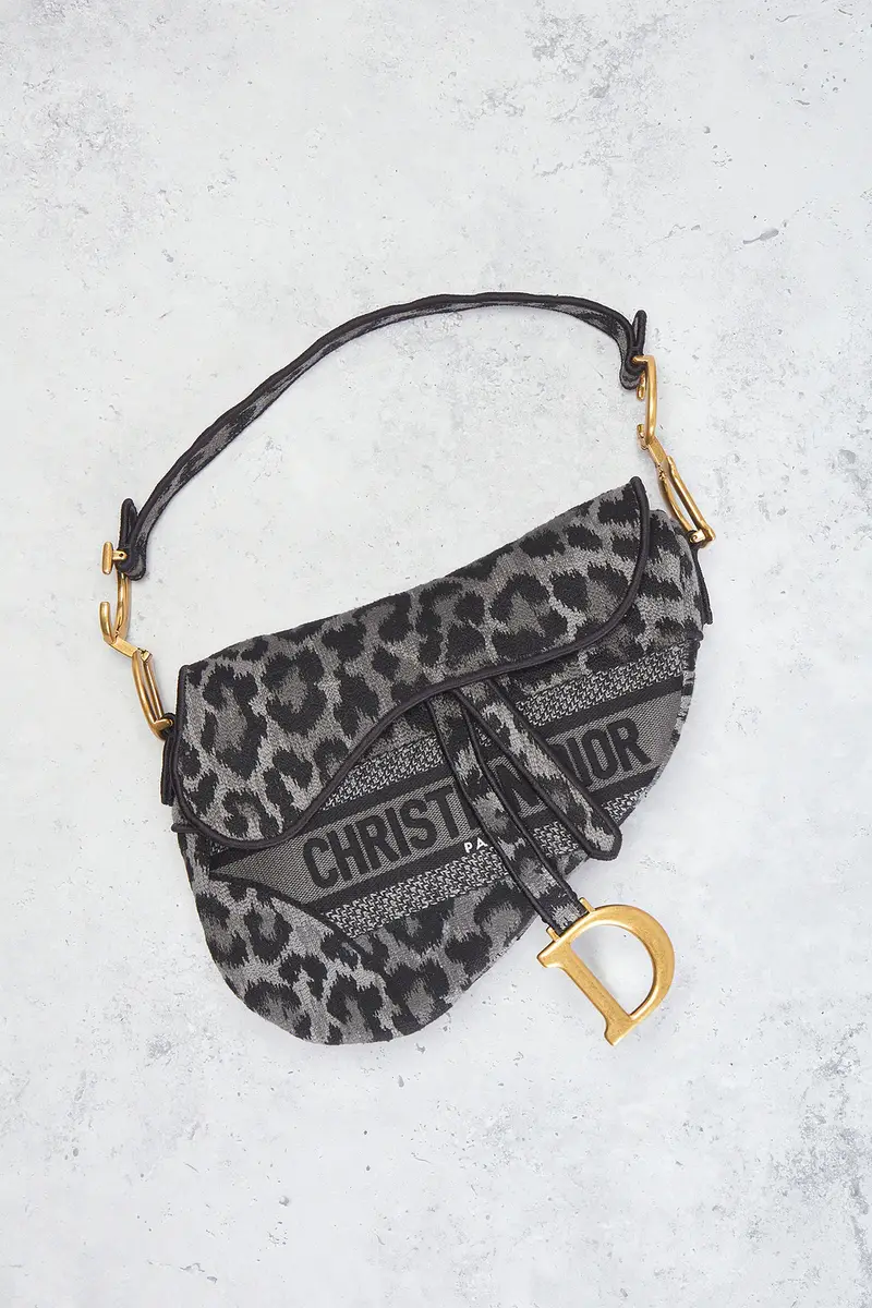 Dior Dior Mizza Embroidered Saddle Bag | Thumbnail 2 Dior Dior Mizza Embroidered Saddle Bag | Thumbnail 2