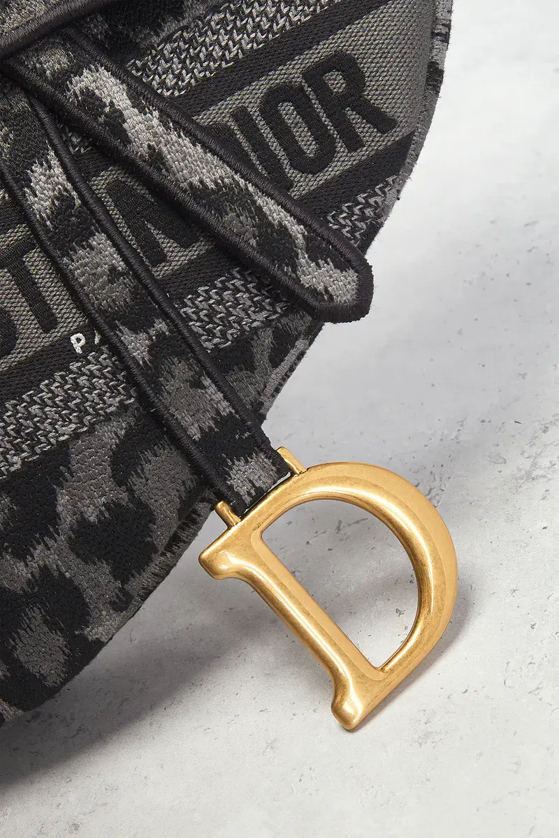 Dior Dior Mizza Embroidered Saddle Bag | Thumbnail 5 Dior Dior Mizza Embroidered Saddle Bag | Thumbnail 5