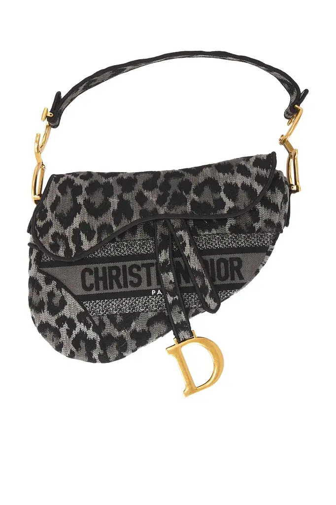 Dior Dior Mizza Embroidered Saddle Bag