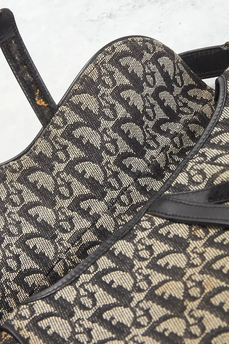 Dior Dior Trotter Oblique Saddle Bag | Thumbnail 10 Dior Dior Trotter Oblique Saddle Bag | Thumbnail 10
