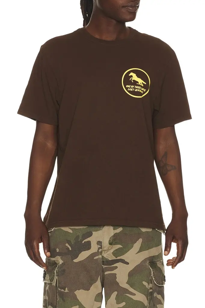 ONE OF THESE DAYS Painted Horse Tshirt