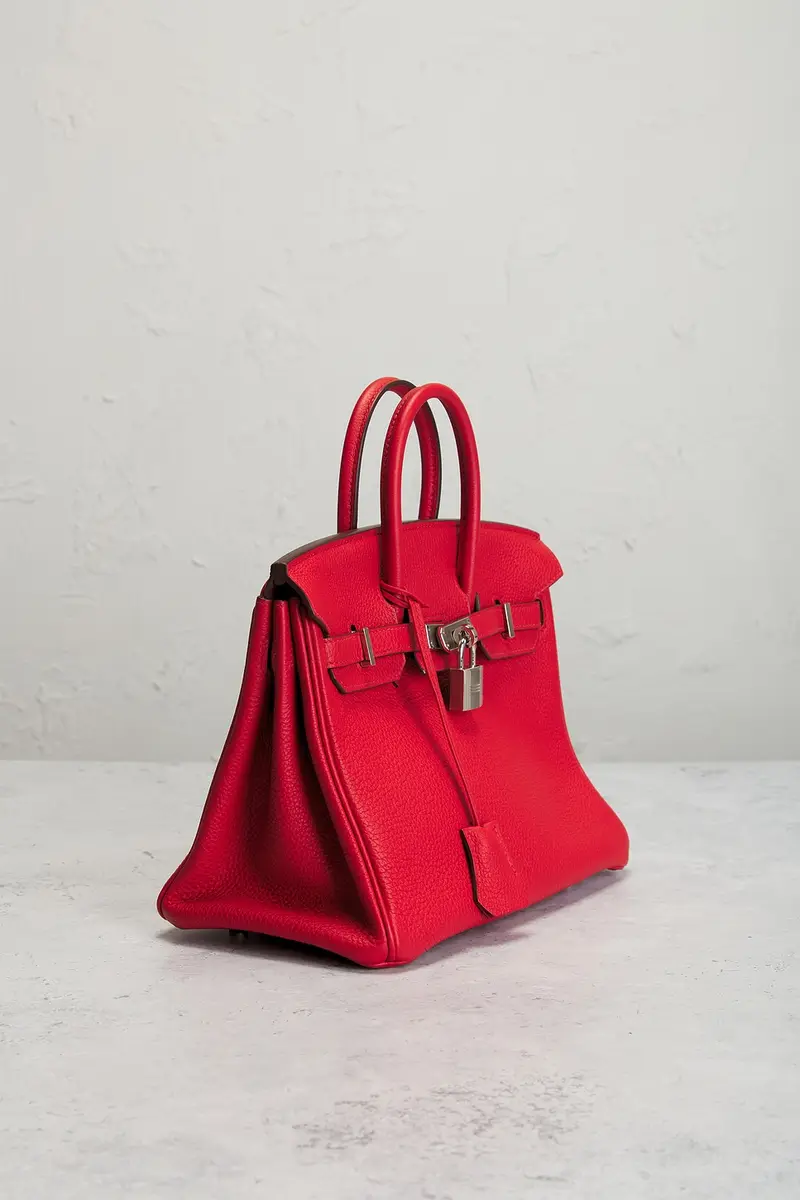 HERMÈS Hermes Togo Birkin 25 Handbag | Thumbnail 4 HERMÈS Hermes Togo Birkin 25 Handbag | Thumbnail 4