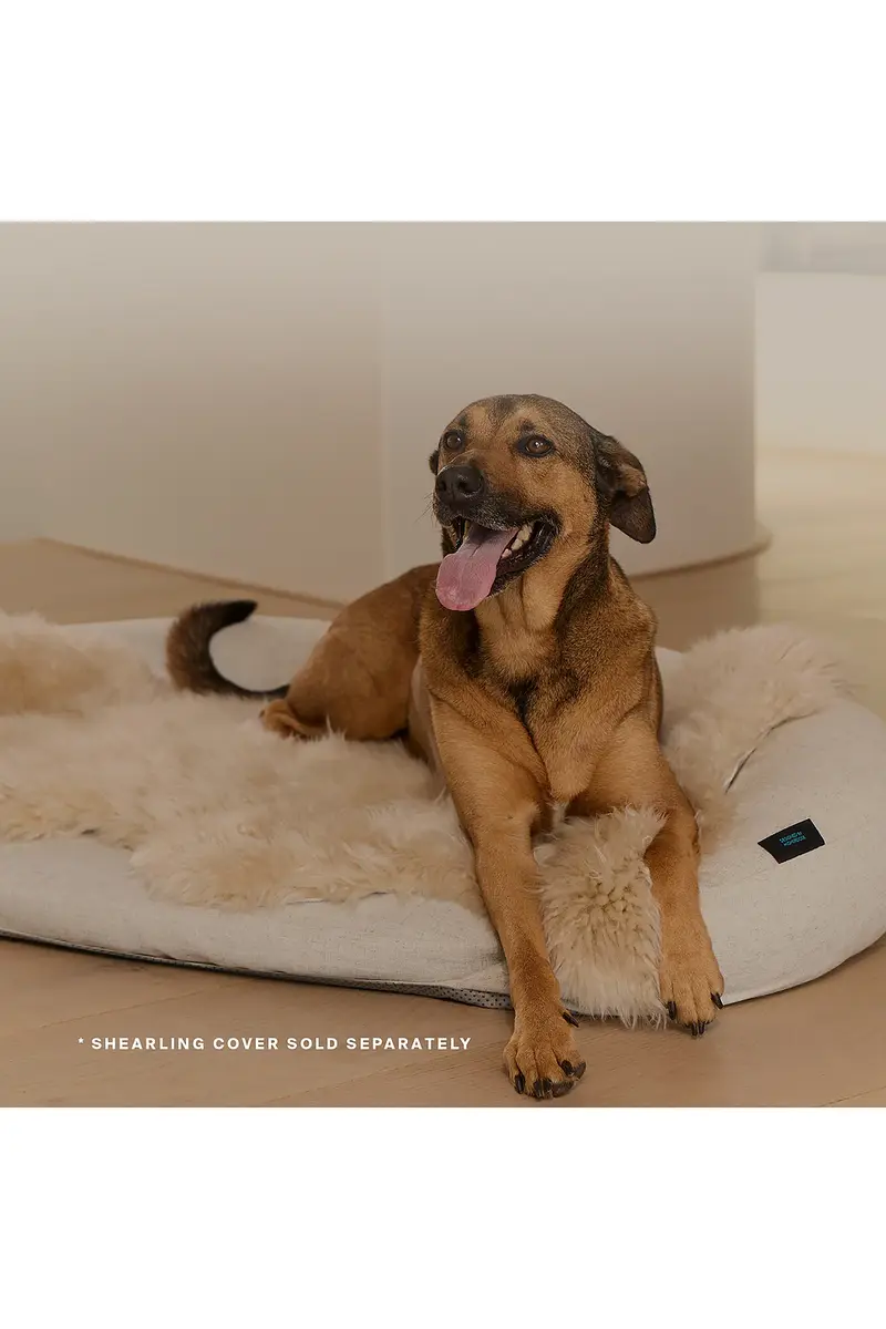 HigherDOSE Infrared PEMF Small Pet Bed | Thumbnail 11 HigherDOSE Infrared PEMF Small Pet Bed | Thumbnail 11