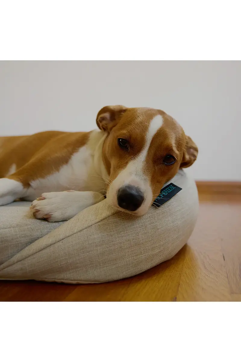 HigherDOSE Infrared PEMF Small Pet Bed | Thumbnail 4 HigherDOSE Infrared PEMF Small Pet Bed | Thumbnail 4