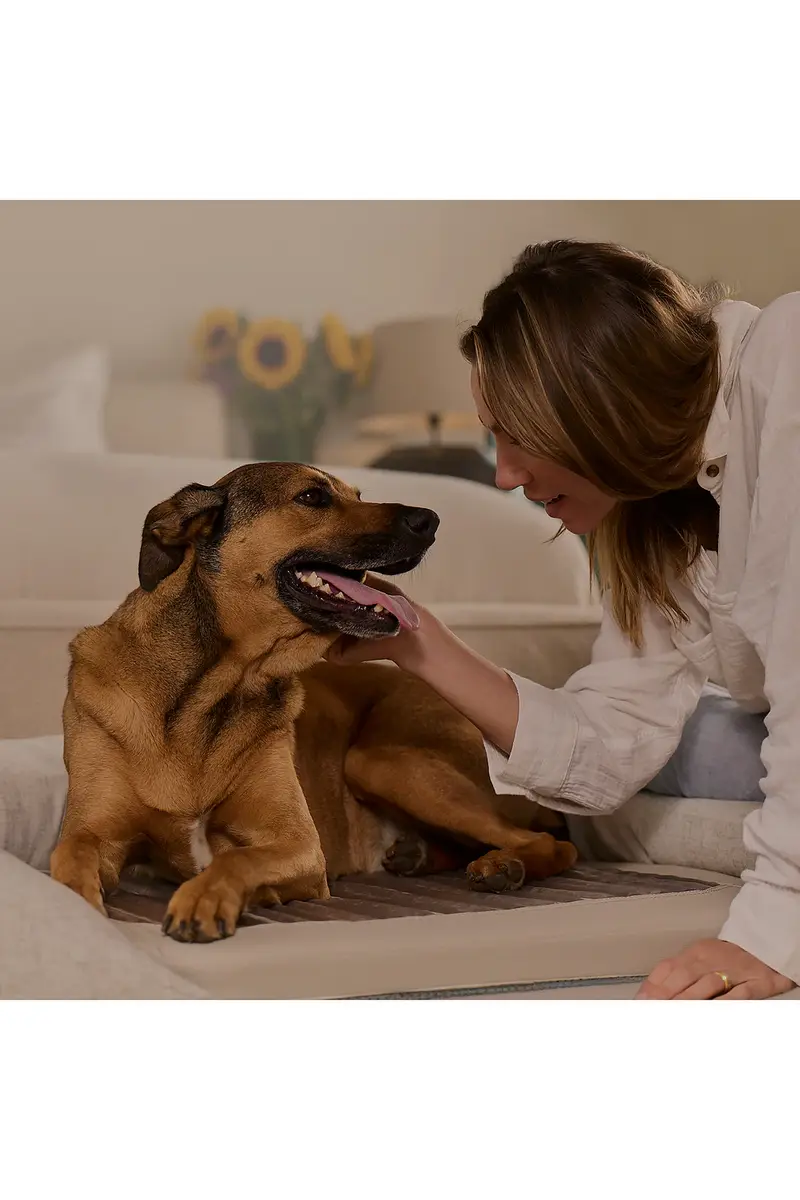 HigherDOSE Infrared PEMF Small Pet Bed | Thumbnail 5 HigherDOSE Infrared PEMF Small Pet Bed | Thumbnail 5
