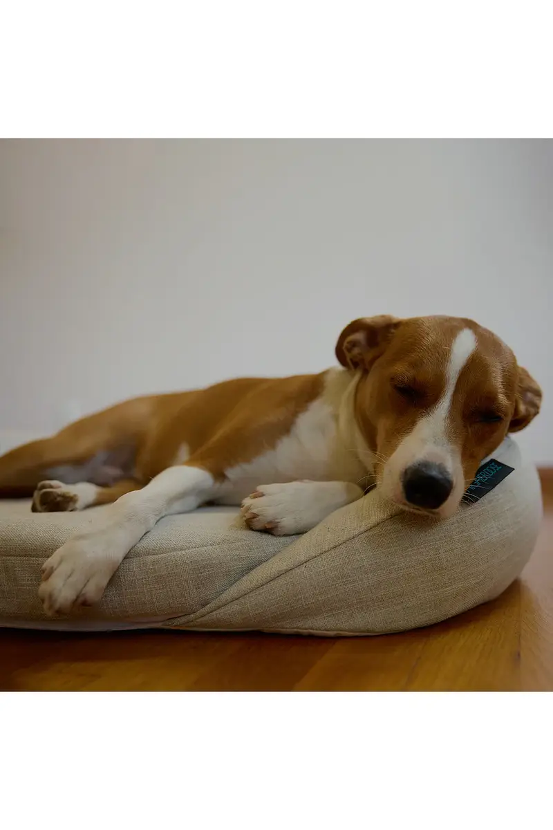 HigherDOSE Infrared PEMF Small Pet Bed | Thumbnail 8 HigherDOSE Infrared PEMF Small Pet Bed | Thumbnail 8
