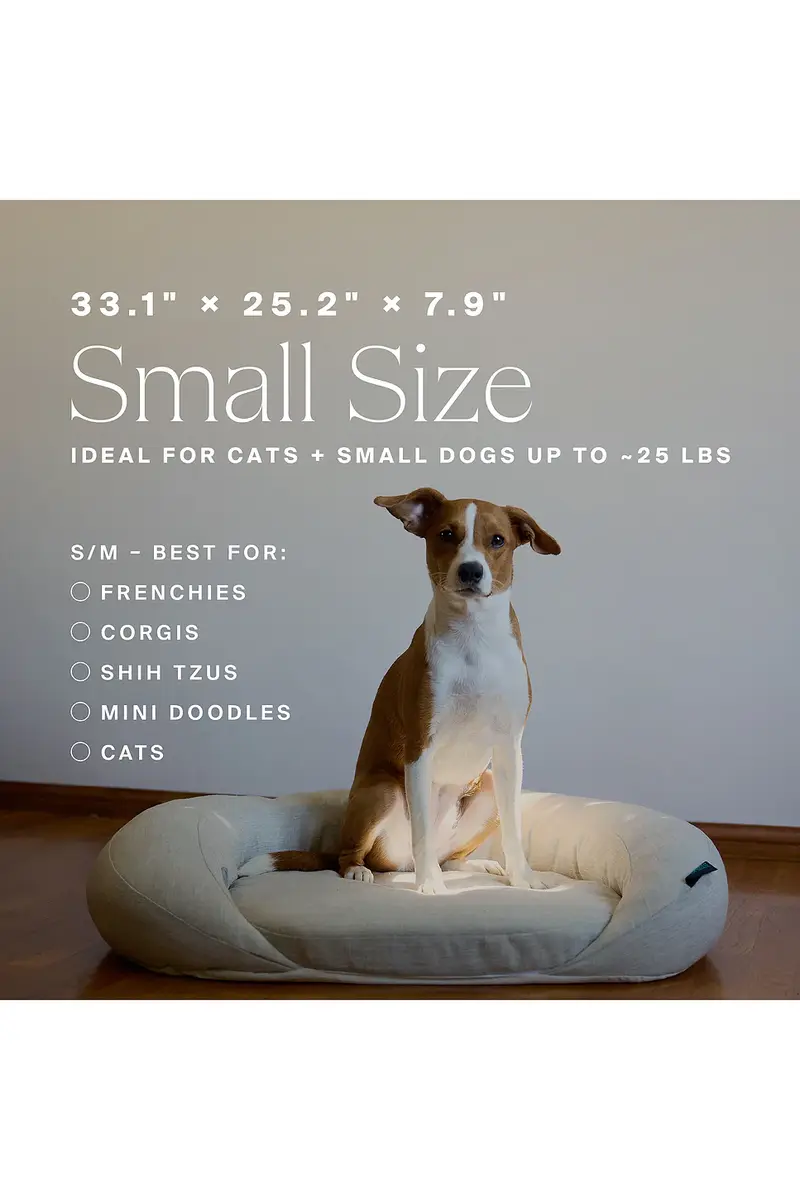 HigherDOSE Infrared PEMF Small Pet Bed | Thumbnail 9 HigherDOSE Infrared PEMF Small Pet Bed | Thumbnail 9