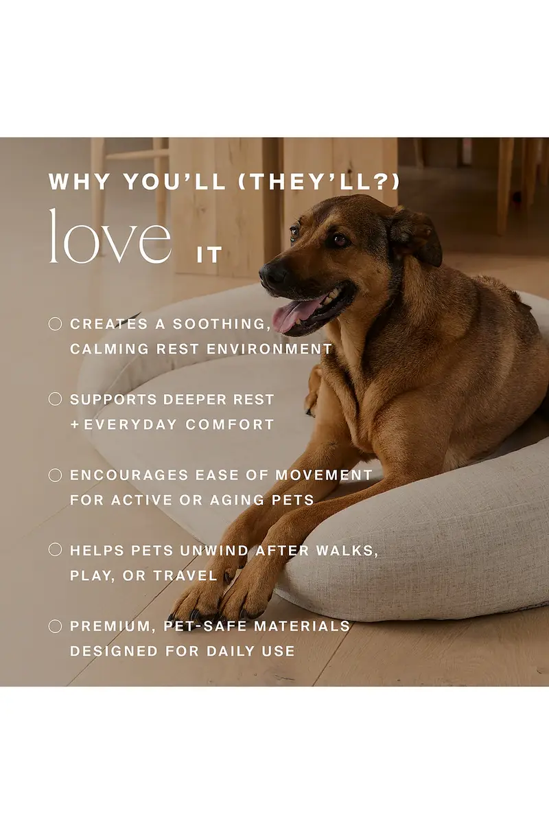 HigherDOSE Infrared PEMF Large Pet Bed | Thumbnail 3 HigherDOSE Infrared PEMF Large Pet Bed | Thumbnail 3