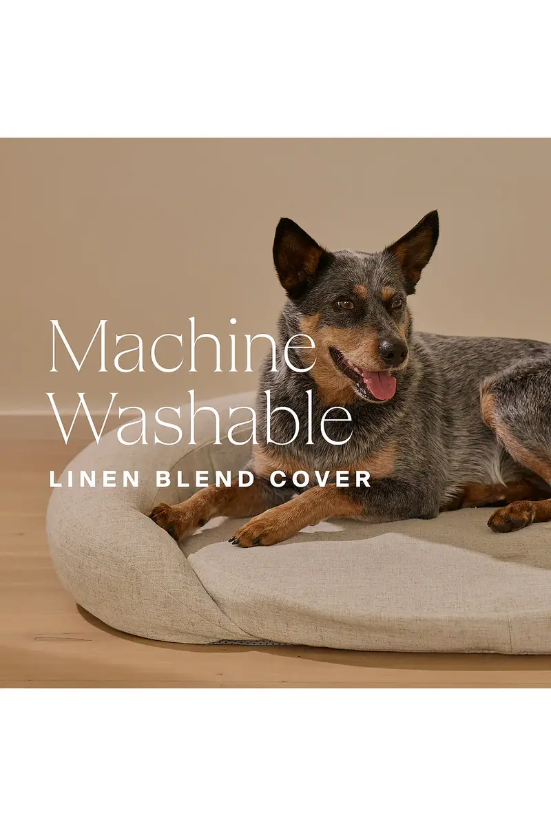 HigherDOSE Infrared PEMF Large Pet Bed | Thumbnail 7 HigherDOSE Infrared PEMF Large Pet Bed | Thumbnail 7