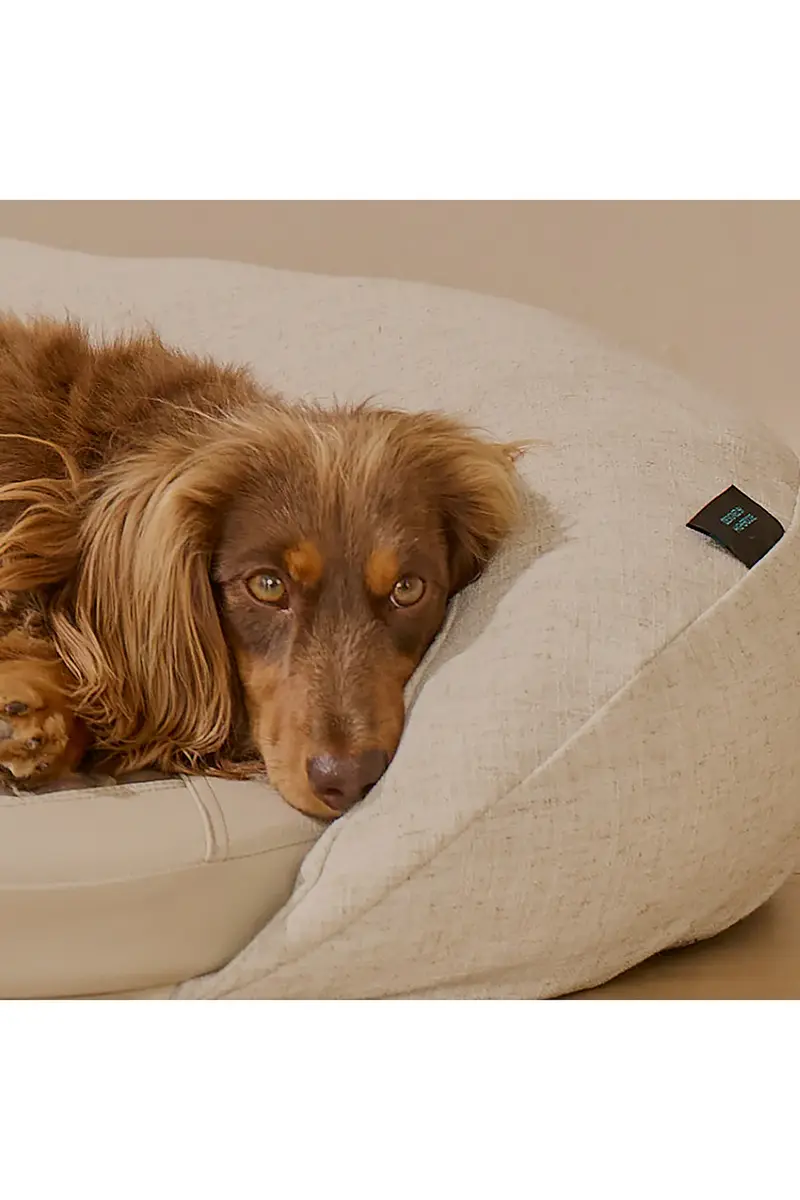 HigherDOSE Infrared PEMF Large Pet Bed | Thumbnail 8 HigherDOSE Infrared PEMF Large Pet Bed | Thumbnail 8