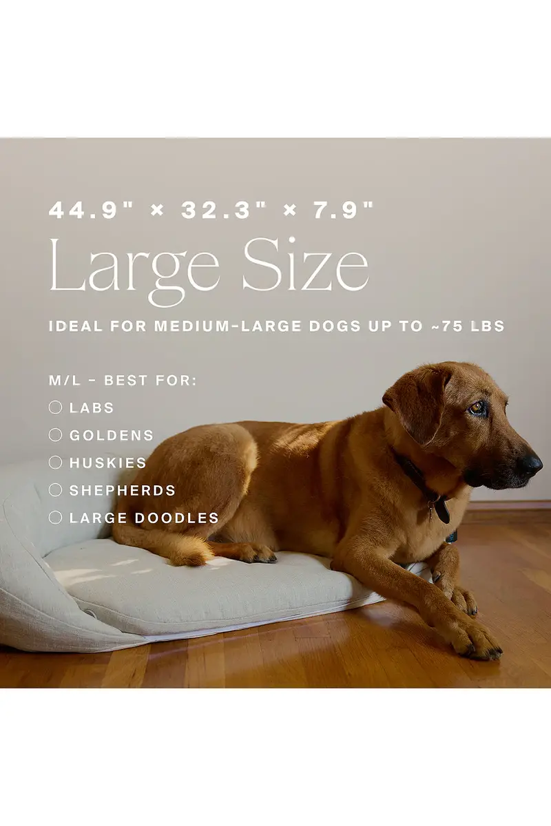 HigherDOSE Infrared PEMF Large Pet Bed | Thumbnail 9 HigherDOSE Infrared PEMF Large Pet Bed | Thumbnail 9