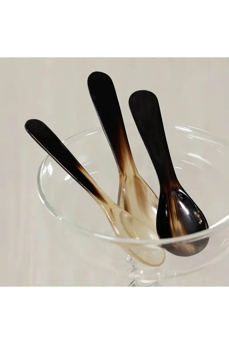 The Favorites Set of 4 Horn Condiment & Caviar Spoon | Thumbnail 2