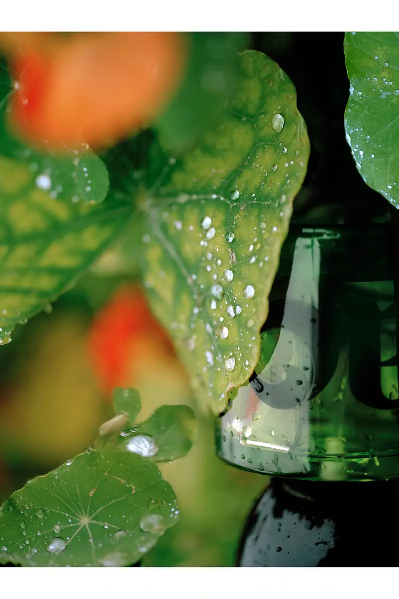 Vyrao Mini Woo: I Am Verdant Eau De Parfum | Thumbnail 5