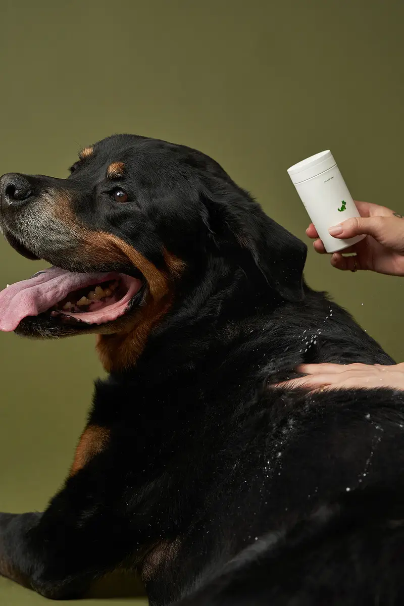 Lil Luv Dog Dry Shampoo | Thumbnail 3 Lil Luv Dog Dry Shampoo | Thumbnail 3