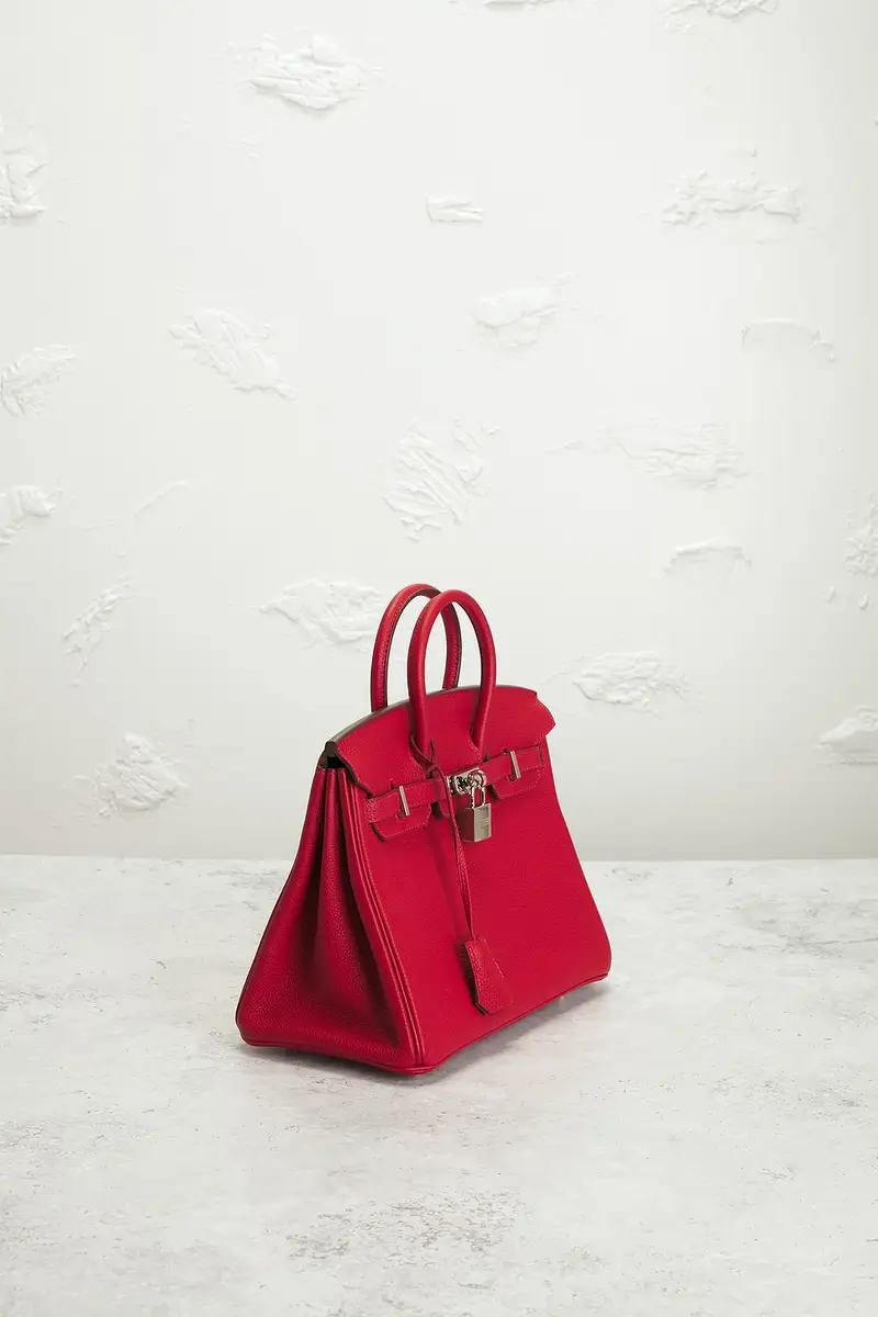 HERMÈS Hermes Togo Birkin 25 Handbag | Thumbnail 4