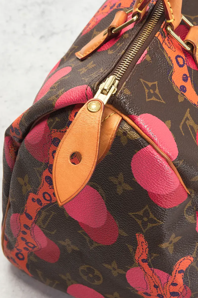 Louis Vuitton Louis Vuitton Limited Edition Grenade Ramages Speedy 30 Handbag | Thumbnail 5 Louis Vuitton Louis Vuitton Limited Edition Grenade Ramages Speedy 30 Handbag | Thumbnail 5