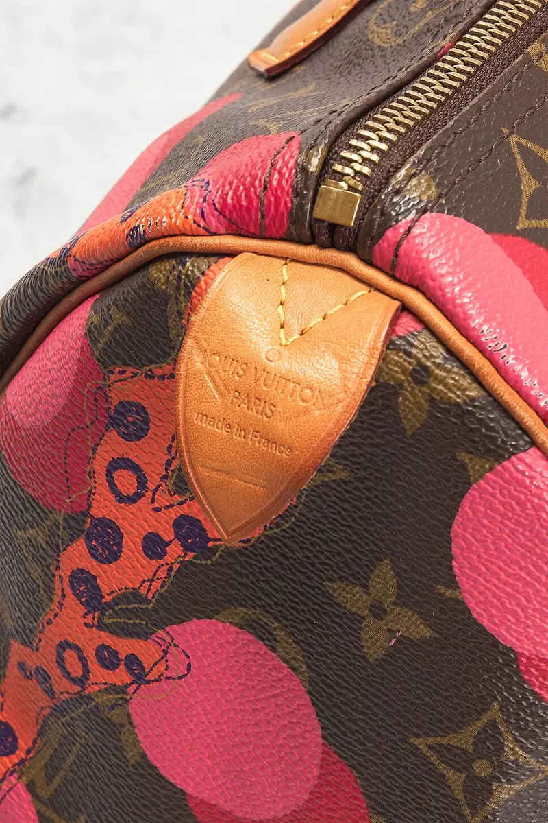 Louis Vuitton Louis Vuitton Limited Edition Grenade Ramages Speedy 30 Handbag | Thumbnail 6 Louis Vuitton Louis Vuitton Limited Edition Grenade Ramages Speedy 30 Handbag | Thumbnail 6