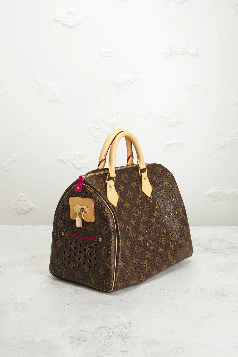 Louis Vuitton Louis Vuitton Monogram Perforated Speedy 30 Handbag | Thumbnail 4