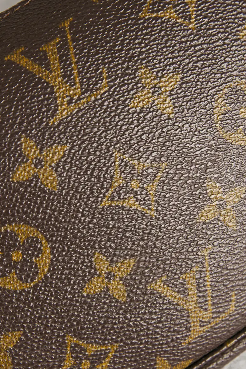 Louis Vuitton Louis Vuitton Monogram Pochette Accessoires Shoulder Bag | Thumbnail 5