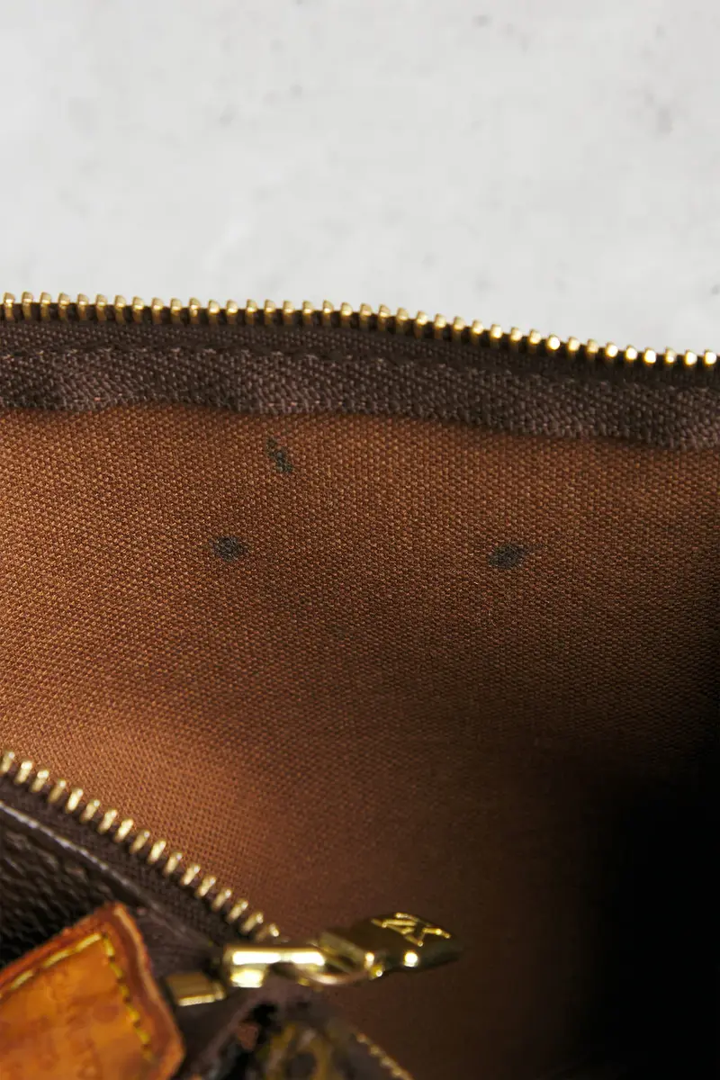 Louis Vuitton Louis Vuitton Monogram Pochette Accessoires Shoulder Bag | Thumbnail 7
