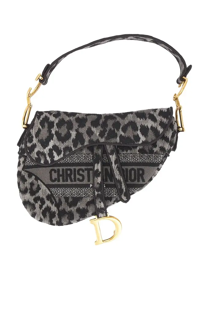 Dior Dior Saddle Bag