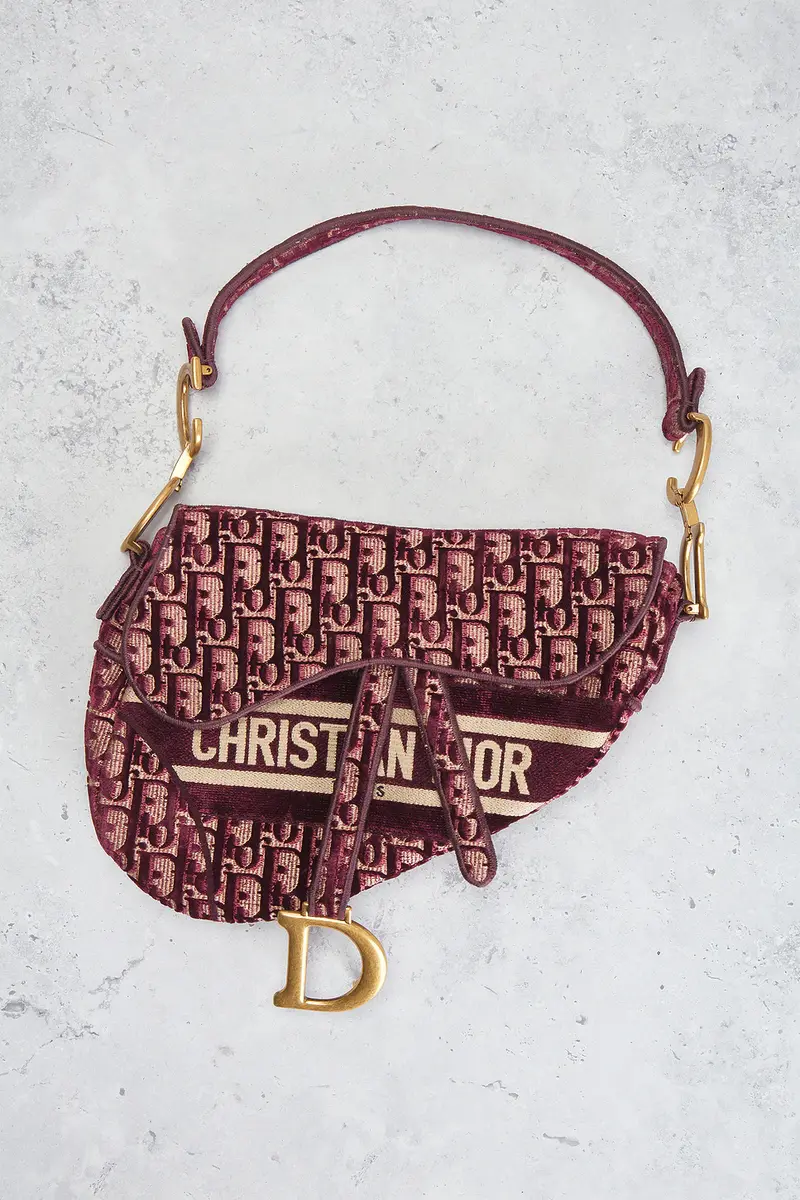 Dior Dior Oblique Embroidered Velvet Saddle Bag | Thumbnail 2