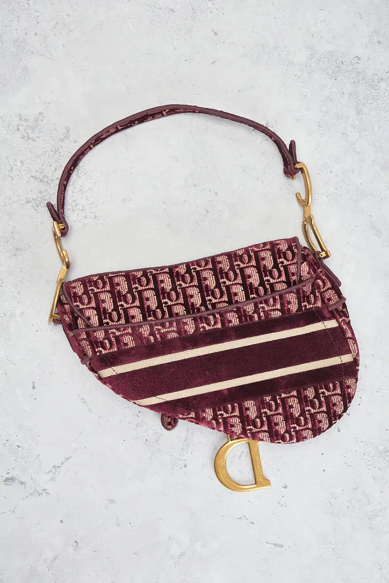 Dior Dior Oblique Embroidered Velvet Saddle Bag | Thumbnail 3
