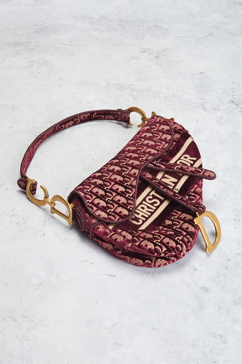 Dior Dior Oblique Embroidered Velvet Saddle Bag | Thumbnail 4
