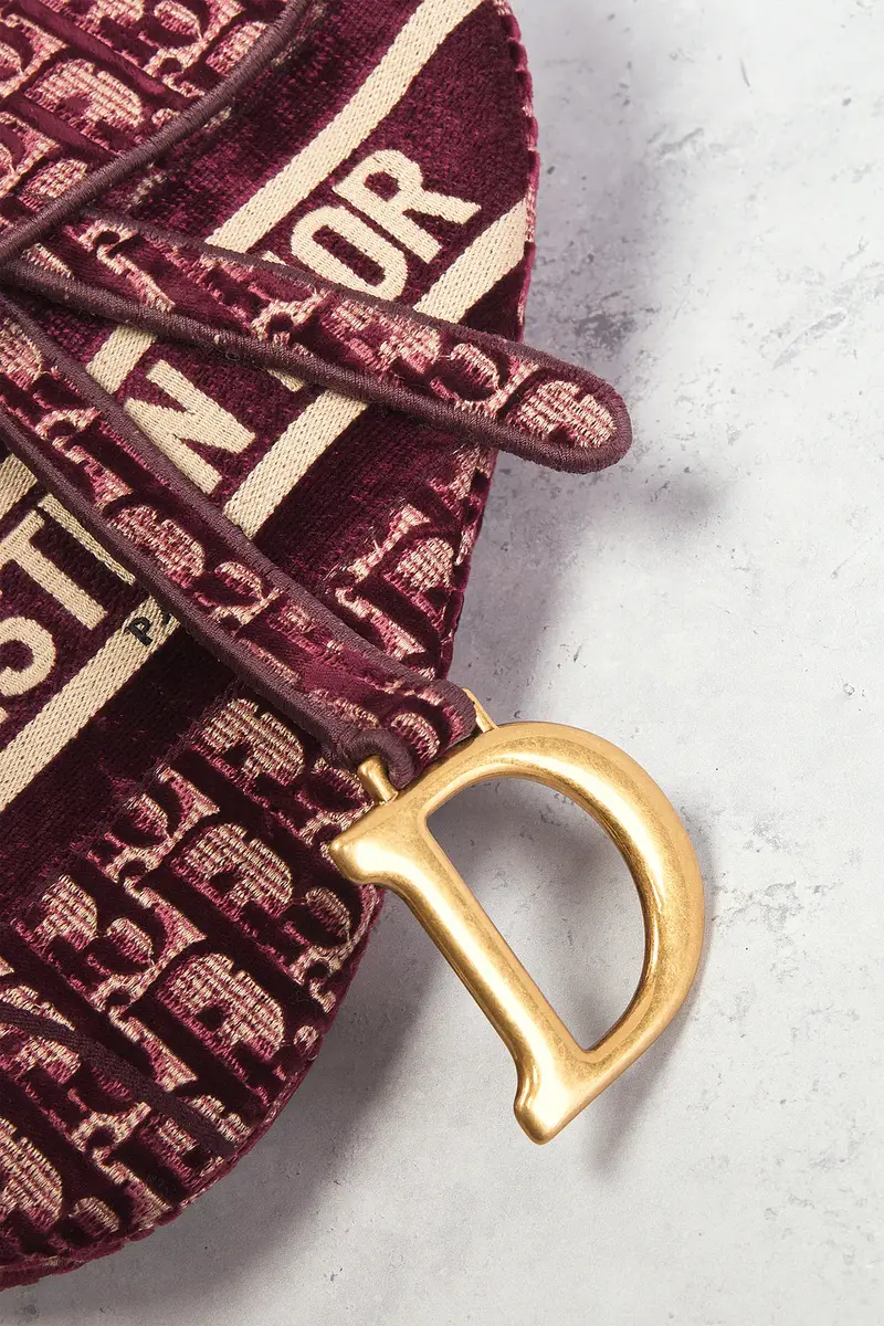 Dior Dior Oblique Embroidered Velvet Saddle Bag | Thumbnail 5