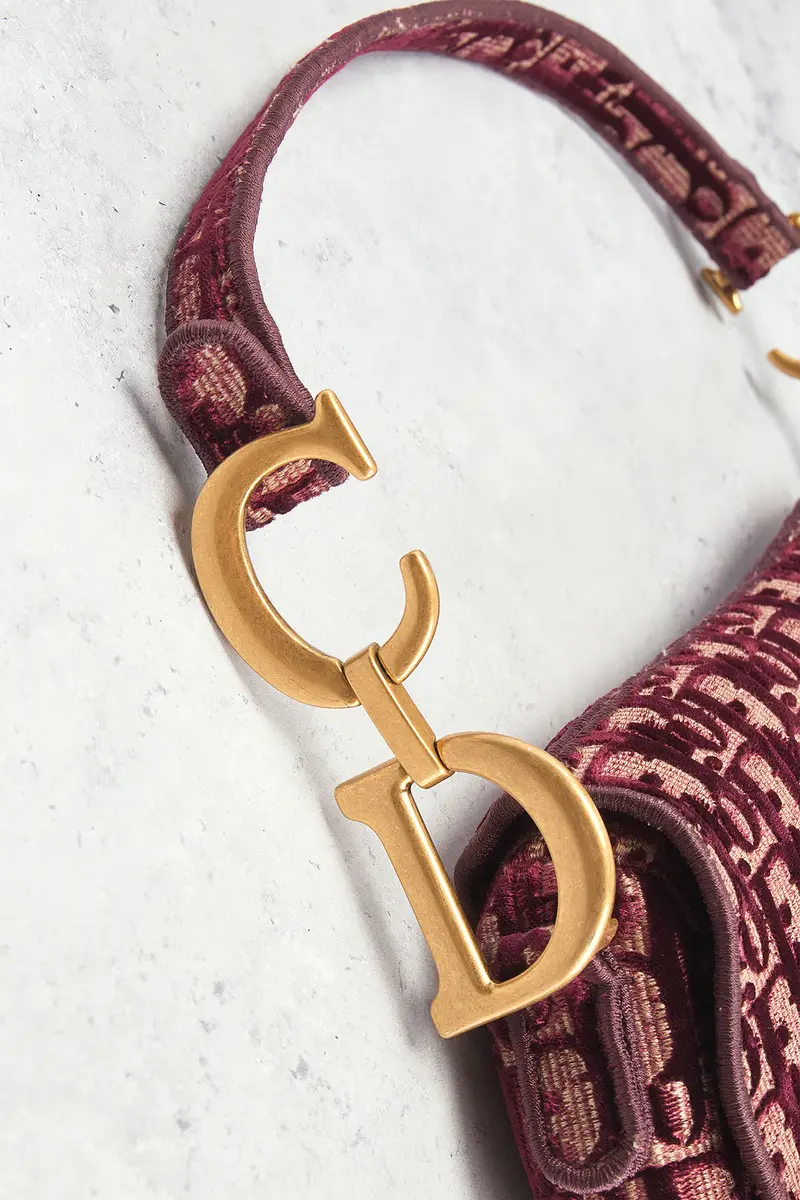 Dior Dior Oblique Embroidered Velvet Saddle Bag | Thumbnail 8