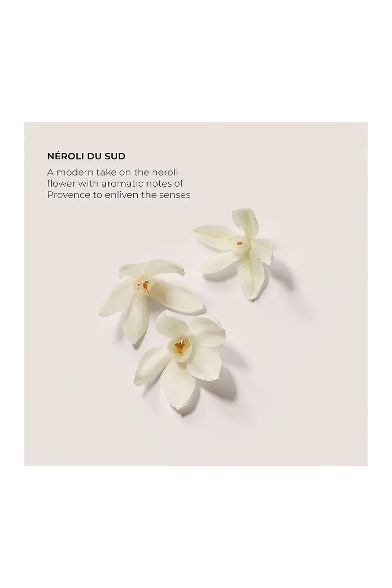 Laura Mercier Neroli du Sud Serum Body Cream | Thumbnail 4 Laura Mercier Neroli du Sud Serum Body Cream | Thumbnail 4