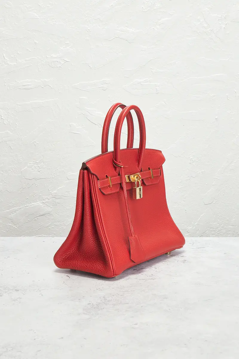 HERMÈS Hermes Togo Birkin 25 Retourne Handbag | Thumbnail 4