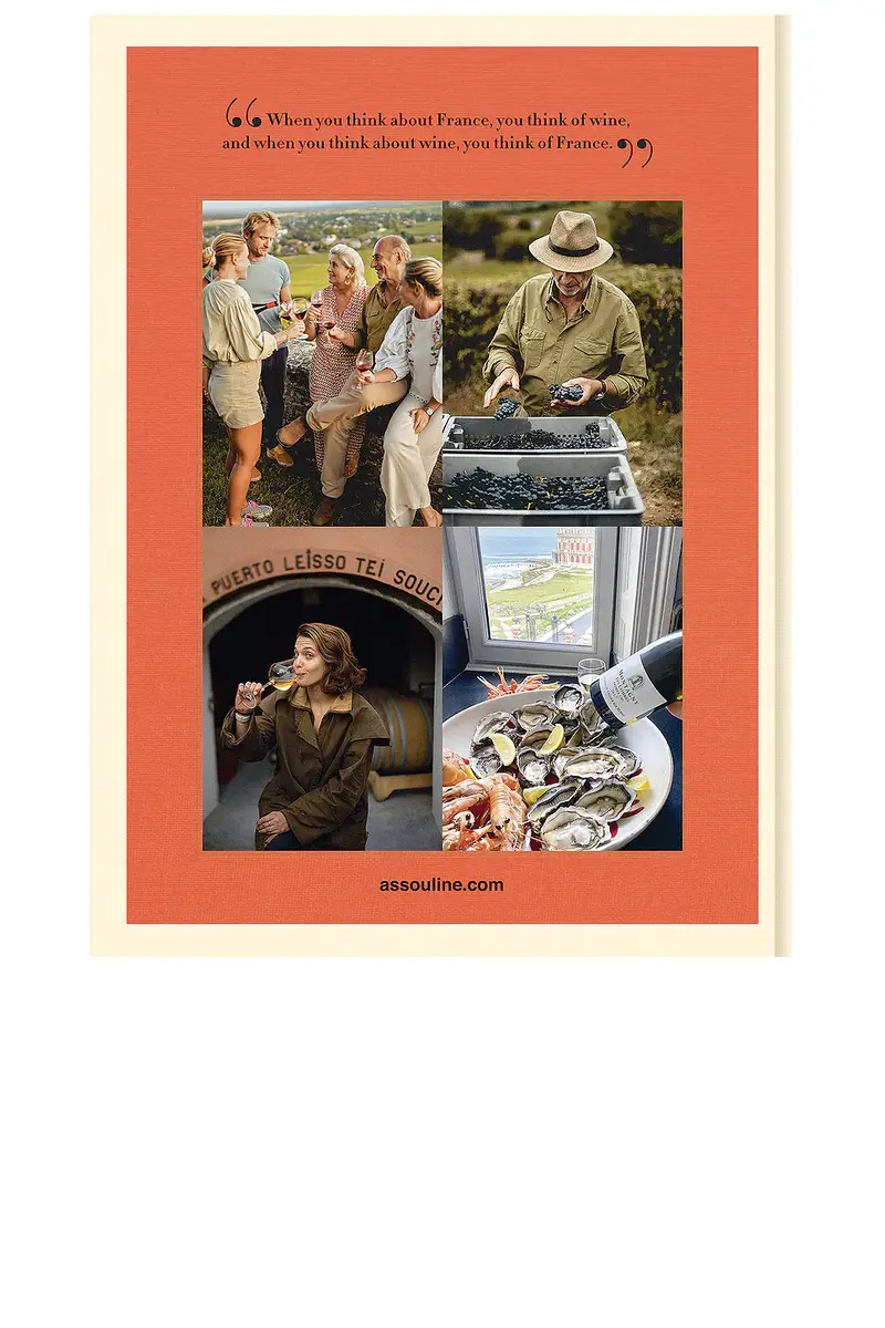 ASSOULINE Wine & Travel France | Thumbnail 3