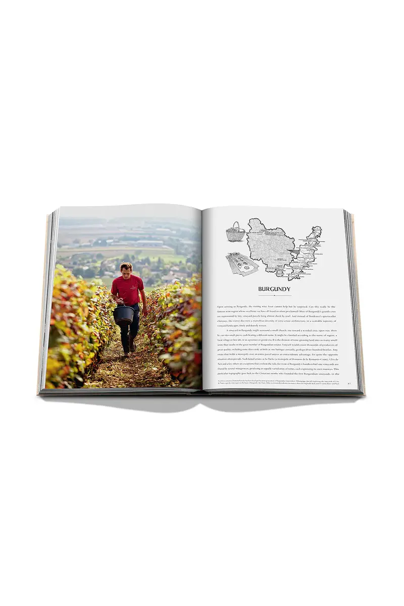 ASSOULINE Wine & Travel France | Thumbnail 6