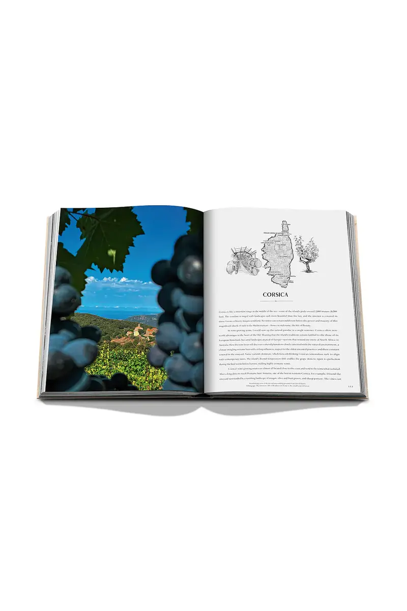 ASSOULINE Wine & Travel France | Thumbnail 8