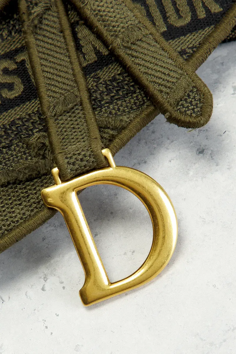 Dior Dior Embroidered Camouflage Saddle Belt Bag | Thumbnail 6