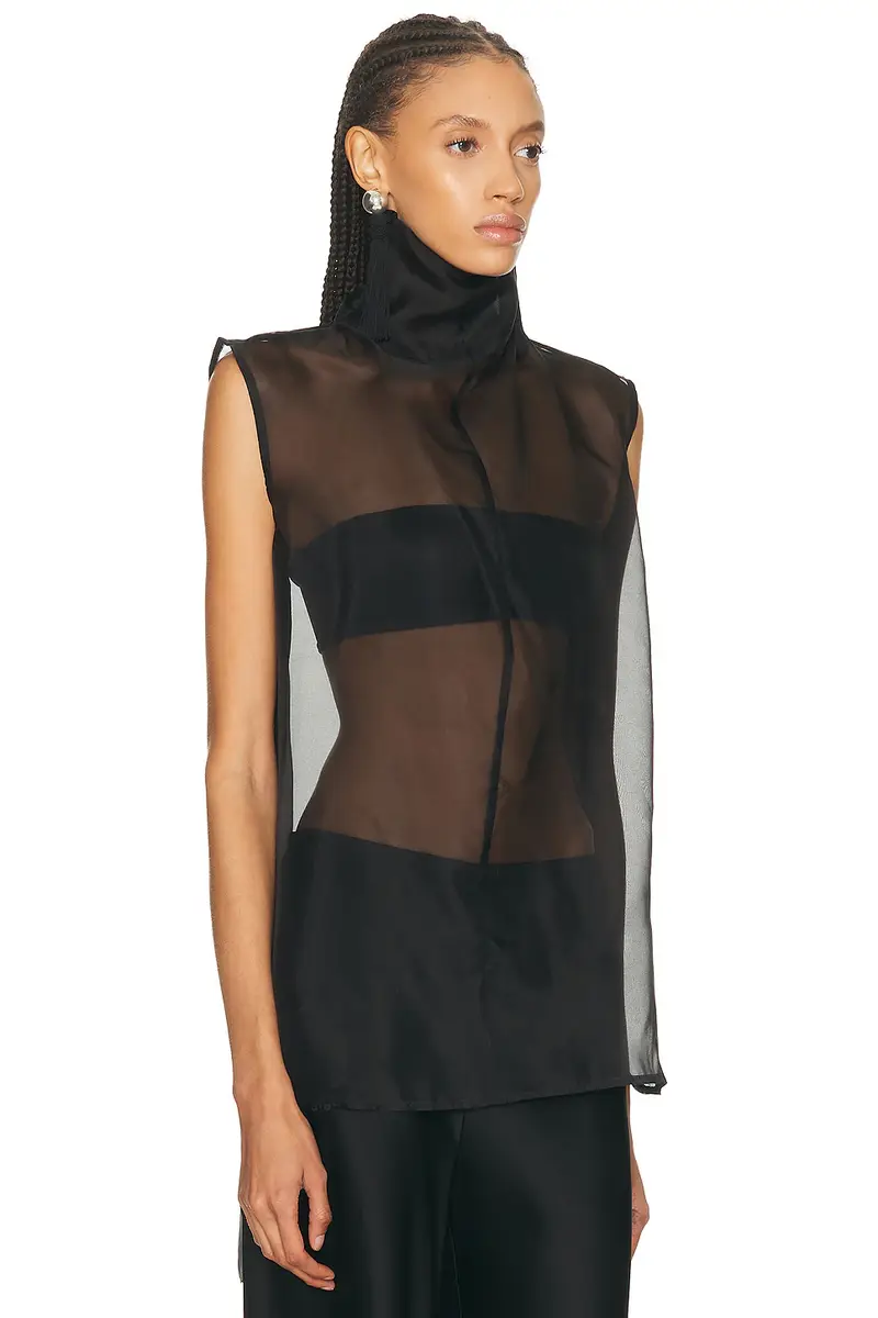 Aexae Silk Organza Roll Neck Top | Thumbnail 2