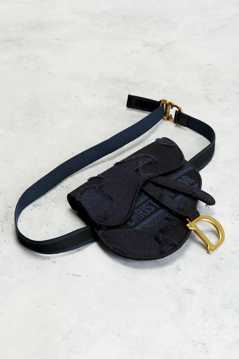 Dior Dior Embroidered Saddle Belt Bag | Thumbnail 4 Dior Dior Embroidered Saddle Belt Bag | Thumbnail 4