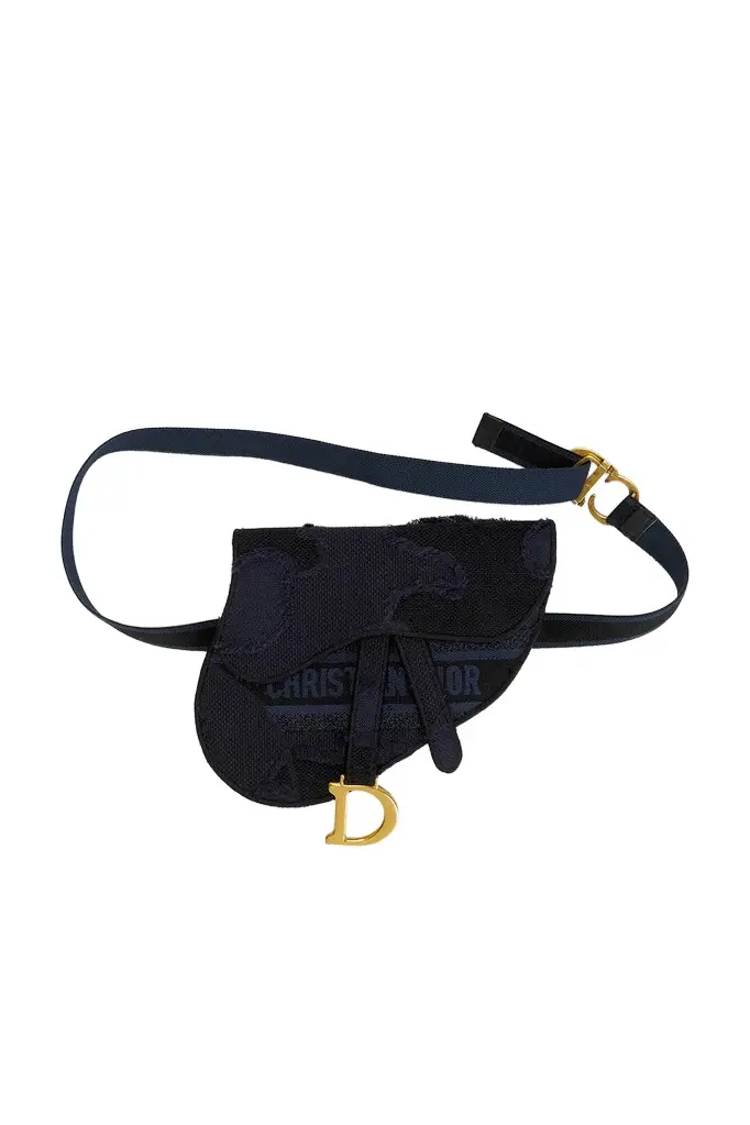 Dior Dior Embroidered Saddle Belt Bag