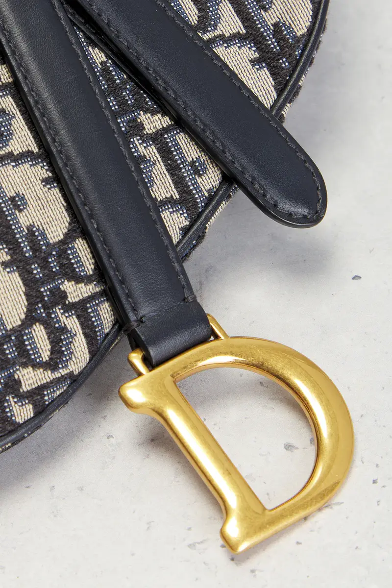 Dior Dior Oblique Mini Saddle Bag | Thumbnail 6