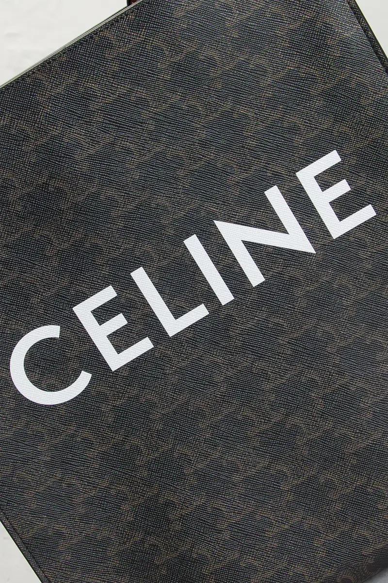 Celine Celine Triomphe Vertical Cabas Tote Bag | Thumbnail 5 Celine Celine Triomphe Vertical Cabas Tote Bag | Thumbnail 5