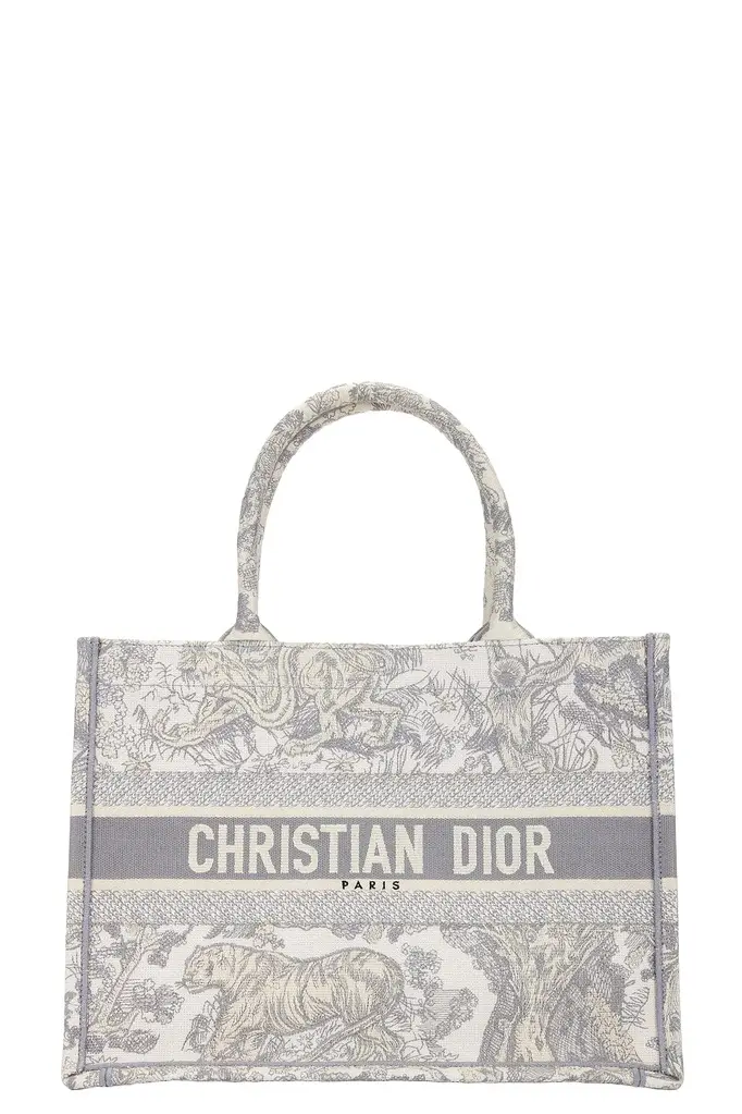 Dior Dior Book Tote Bag