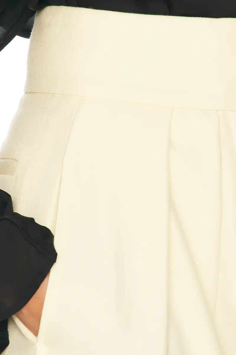 Helsa High Waist Pleated Suit Trouser | Thumbnail 6