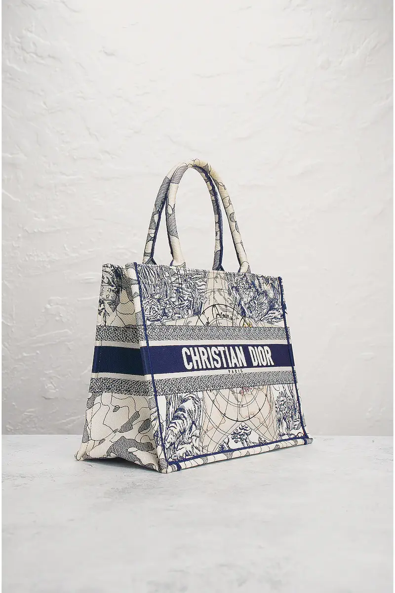 Dior Dior Around The World Book Tote Bag | Thumbnail 4 Dior Dior Around The World Book Tote Bag | Thumbnail 4