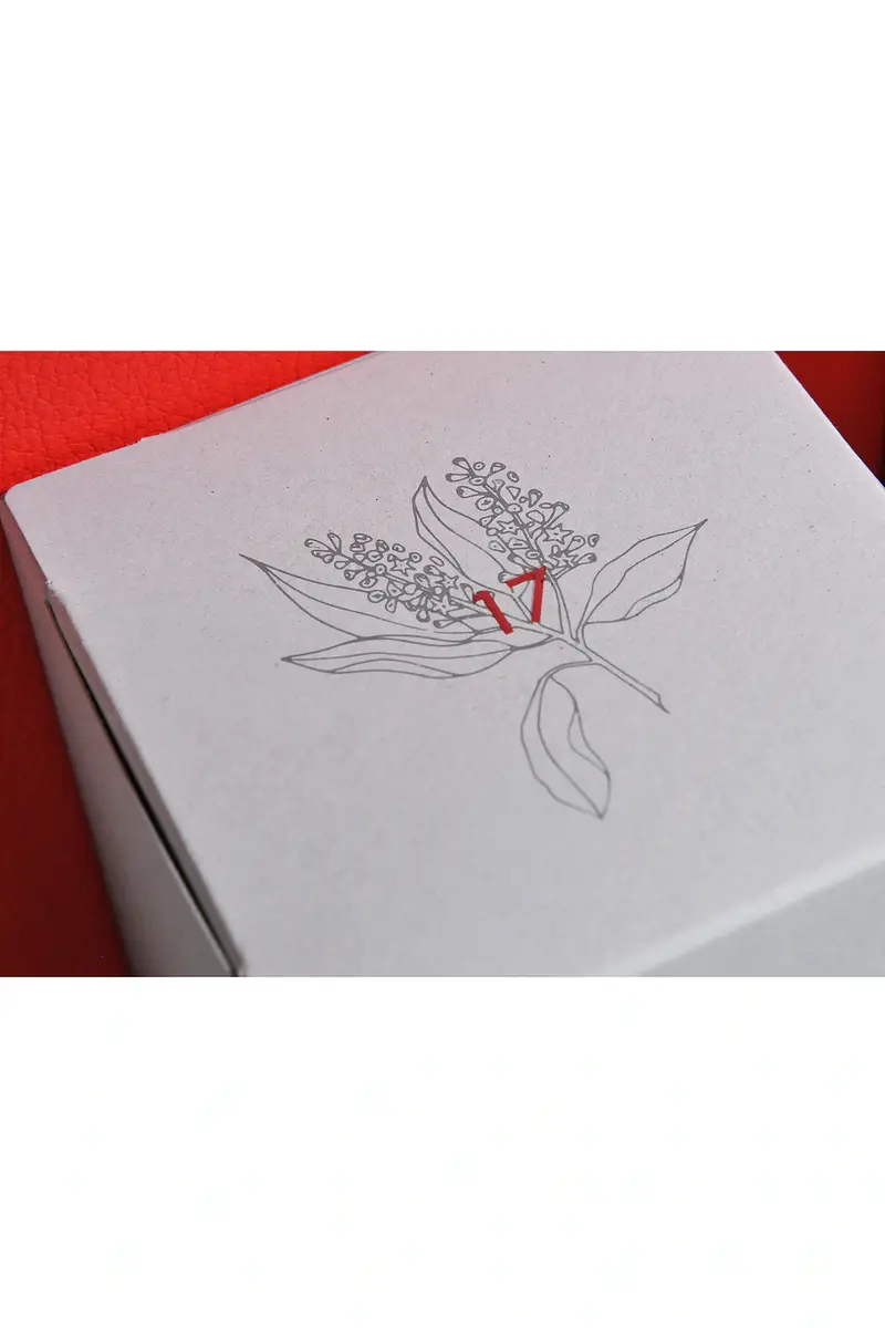 Pisterzi Tonstrina 367 | Thumbnail 8