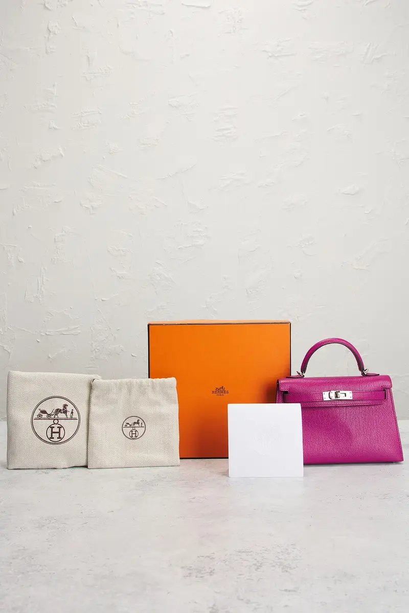 HERMÈS Hermes Chevre Kelly 20 Handbag | Thumbnail 9 HERMÈS Hermes Chevre Kelly 20 Handbag | Thumbnail 9
