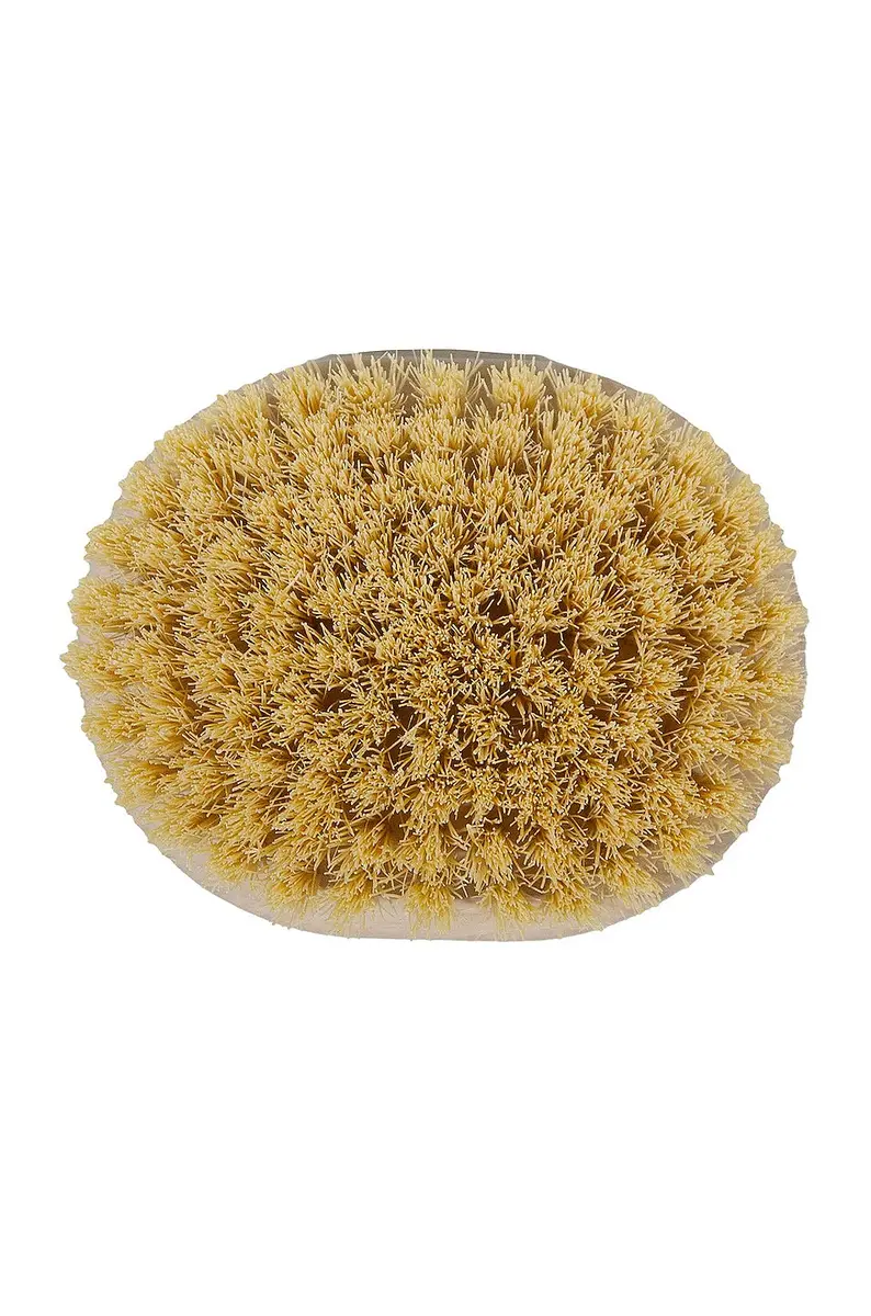 Joanna Czech Dry Massage Body Brush | Thumbnail 3