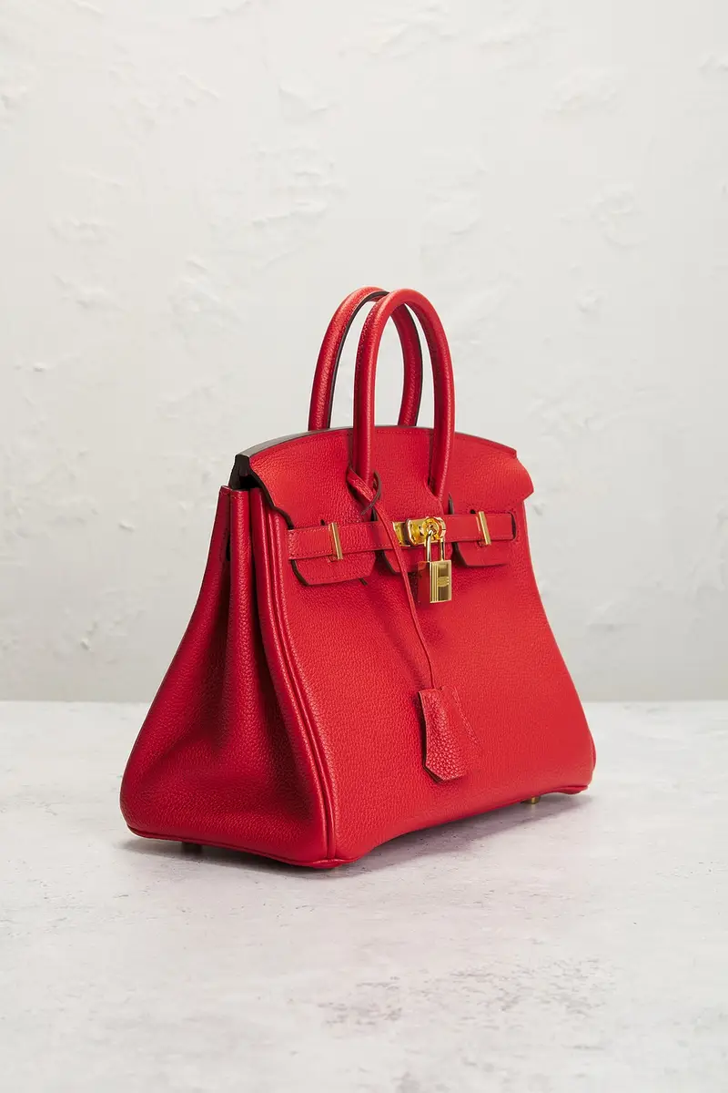 HERMÈS Hermes Togo Birkin 25 Handbag | Thumbnail 4